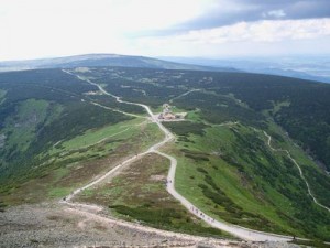 100_9768 (1)